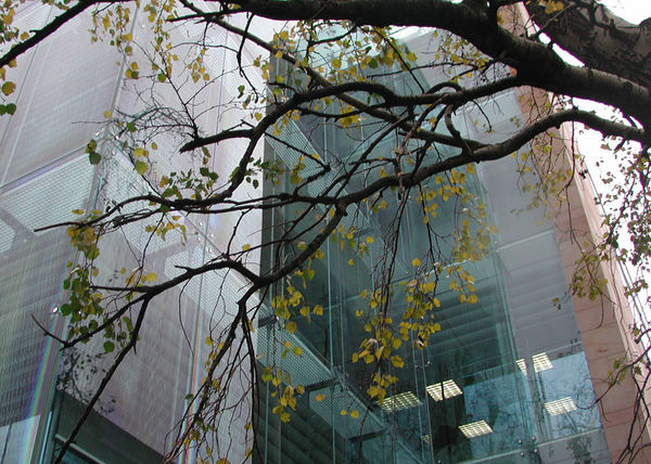 Office building Burlington Road, Dublin